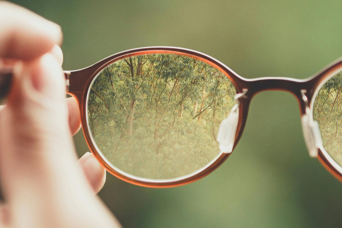 Living with Purpose: Aligning Your Life with Your Values